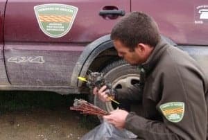 Agentes de protección de la naturaleza. 