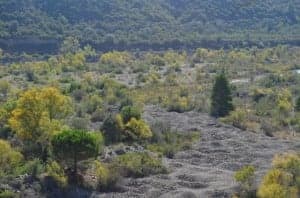 Río Cinca después de dejar la presa de El Grado. José Luis Pano.