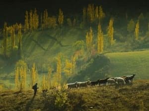 Los colores del otoño.