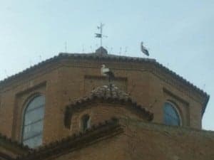 Las cigüeñas en el tejado de la iglesia junto a los inhibidores eléctricos. 