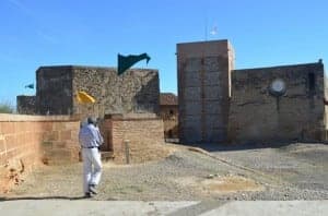 Un visitante en el castillo. JLP.