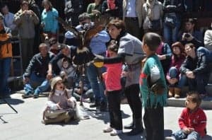 Demostración de cetrería. JLP.