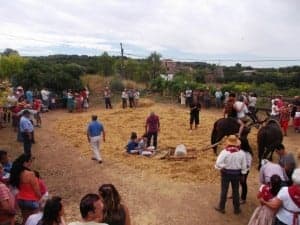 Numeroso público acudió a la fiesta. J.C.