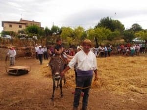 Los más pequeños ya colaboran en la trilla. J.C.