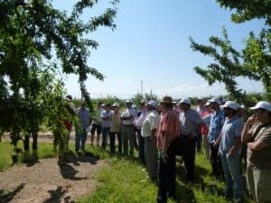 Visita a un campo de almendros. 