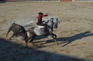 Pablo Hermoso de Mendoza en su faena. JLP.