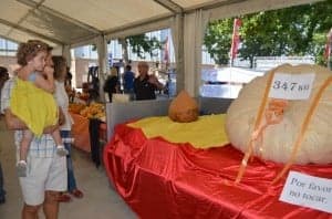 La gigantesca calabaza fue la atracción de la muestra. JLP.