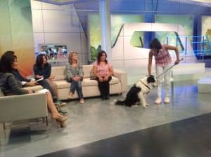 Demostración canina en Aragón TV.