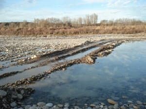 Afecciones en el río Cinca.