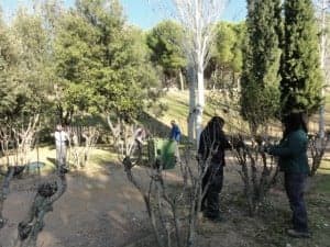 Trabajos en el parque de Barbastro.