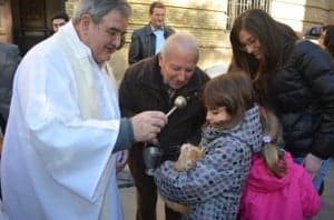 Bendición de animales en Barbastro. JLP.