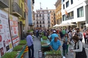 Jornada del Plantero. 