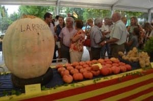 Los hermanos Larrosa, premiados en la muestra. JLP.