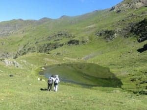 Salcorz