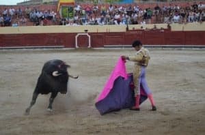 toros