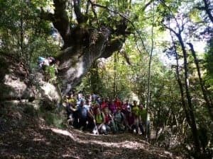 03 Foto de grupo bajo un roble centenario