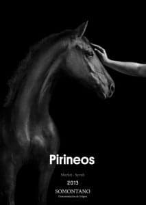 frontal pirineos tinto 2013 sb
