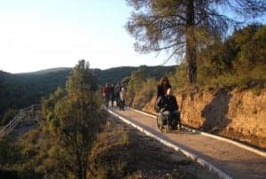 Guara