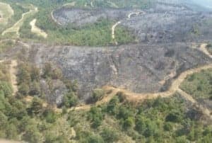 IncendioCoscojueladeFantova