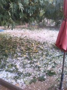 Las huertas, las más perjudicadas.
