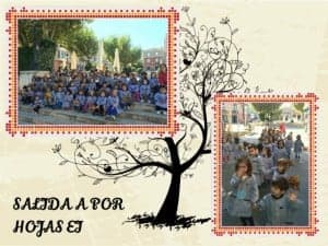 HOJAS
