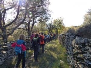 06 Sendero entre muros de piedra