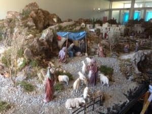 IMG_0414