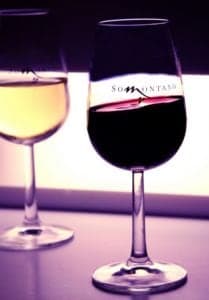 Vinos DO SOMONTANO 03