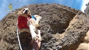 Rescate_Perros_Caza_7