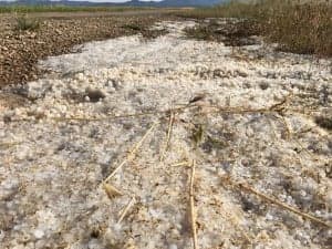 RondaSomontano_GranizoMonegros