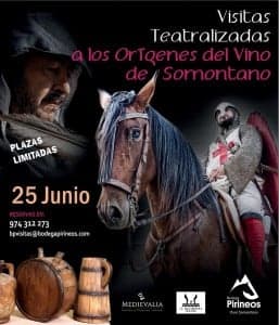 grafica visitas teatralizadas 25junio
