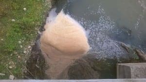 RondaHuesca_VertidosCincaFraga