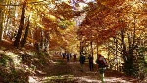 04-selva-de-oza