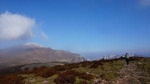 DSC03363_2736x1536