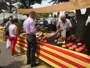 Muestra de Hortalizas de Barbastro. 