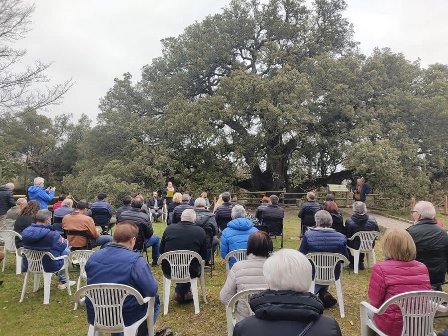 Evento Premio Arbol Europeo Lecina (1)