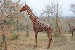 Arte en Granja Aventura