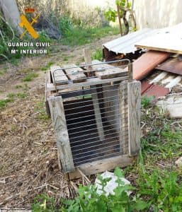 MALTRATO ANIMAL EN MONZON 2022 (3)