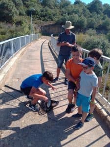 actividad papa llevame a pescar (1)