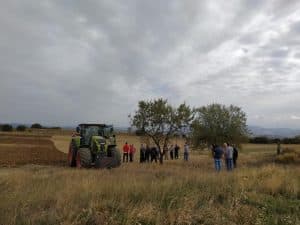 Demo Ferma