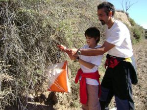 Los niños podrá acudir acompañados por un adulto. Foto: S.E.