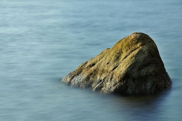 Creación literaria: «Virginia»
