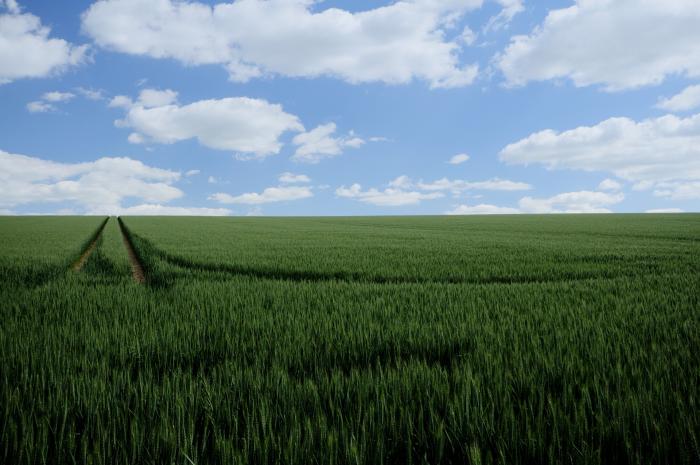 Aprobada la Ley de Protección y Modernización de la Agricultura Familiar