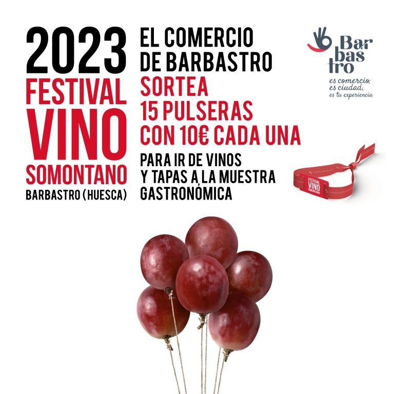 “Disfruta del Festival del vino Somontano 2023 con la AESB”