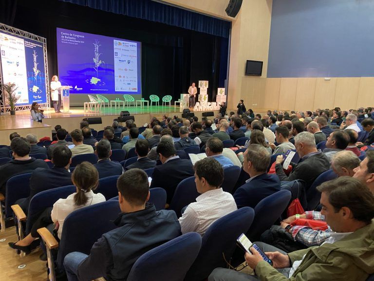 España y Portugal de la mano para competir en la producción de maíz ante los retos de un mercado global