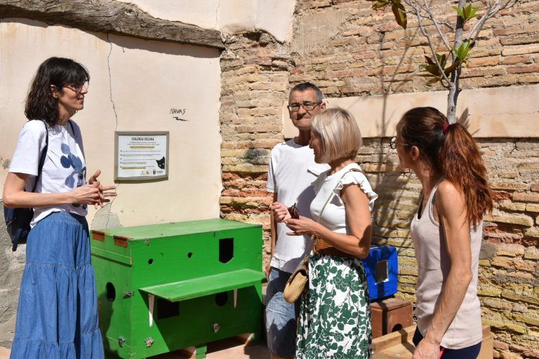 El Ayuntamiento de Monzon aprueba el programa de gestión de colonias felinas