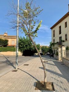 Jardín Botánico Barbastro