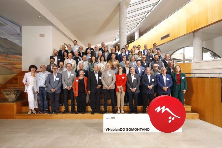 IV “HablanDO Somontano” reúne a las bodegas de la D. O.