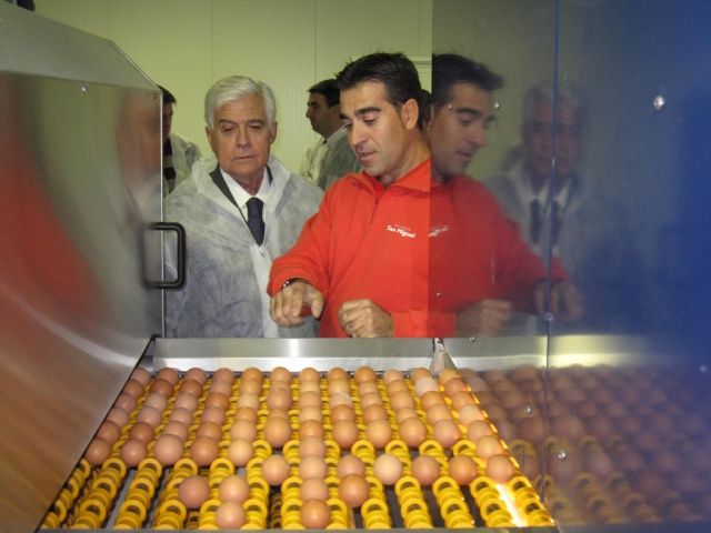El sector de la avicultura de puesta en Aragón duplica sus cifras en los últimos diez años y alcanza los cinco millones de gallinas ponedoras