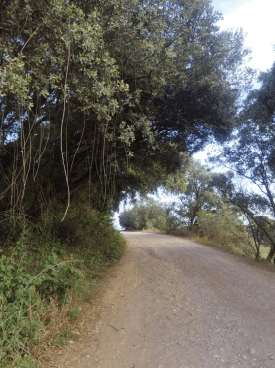 Mejoras en el camino Barraón de Barbastro